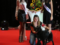 CACIB MÂCON 2018 - DIMANCHE