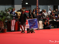 CACIB MÂCON 2018 - DIMANCHE