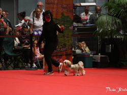 CACIB MÂCON 2018 - DIMANCHE