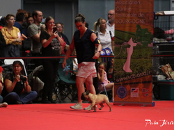 CACIB MÂCON 2018 - DIMANCHE