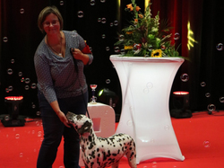 CACIB MÂCON 2018 - DIMANCHE