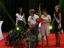 CACIB MÂCON 2018 - DIMANCHE