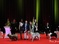 CACIB MÂCON 2018 - DIMANCHE