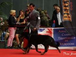 CACIB MÂCON 2018 - DIMANCHE