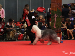 CACIB MÂCON 2018 - DIMANCHE