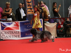 CACIB MÂCON 2018 - DIMANCHE