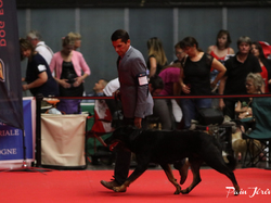 CACIB MÂCON 2018 - DIMANCHE