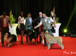 CACIB MÂCON 2018 - DIMANCHE