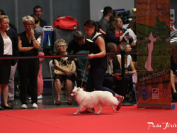 CACIB MÂCON 2018 - DIMANCHE