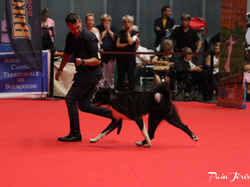 CACIB MÂCON 2018 - DIMANCHE