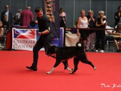 CACIB MÂCON 2018 - DIMANCHE