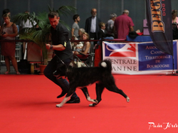 CACIB MÂCON 2018 - DIMANCHE