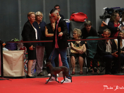 CACIB MÂCON 2018 - DIMANCHE