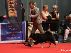 CACIB MÂCON 2018 - DIMANCHE