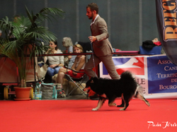 CACIB MÂCON 2018 - DIMANCHE