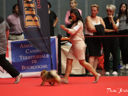 CACIB MÂCON 2018 - DIMANCHE