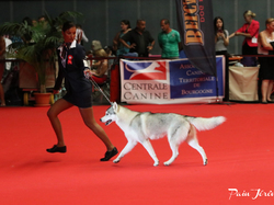 CACIB MÂCON 2018 - DIMANCHE