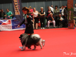 CACIB MÂCON 2018 - DIMANCHE