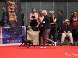 CACIB MÂCON 2018 - DIMANCHE