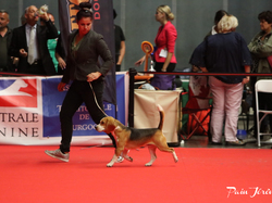 CACIB MÂCON 2018 - DIMANCHE