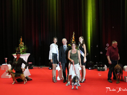 CACIB MÂCON 2018 - DIMANCHE