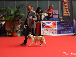 CACIB MÂCON 2018 - DIMANCHE