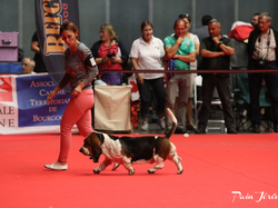 CACIB MÂCON 2018 - DIMANCHE