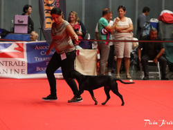 CACIB MÂCON 2018 - DIMANCHE