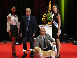 CACIB MÂCON 2018 - DIMANCHE