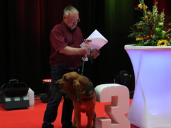 CACIB MÂCON 2018 - DIMANCHE