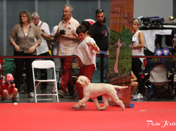 CACIB MÂCON 2018 - DIMANCHE