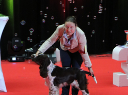 CACIB MÂCON 2018 - DIMANCHE