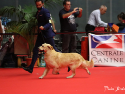 CACIB MÂCON 2018 - DIMANCHE