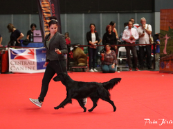 CACIB MÂCON 2018 - DIMANCHE