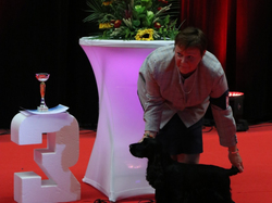 CACIB MÂCON 2018 - DIMANCHE