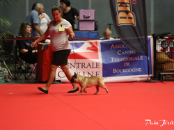 CACIB MÂCON 2018 - DIMANCHE