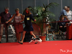 CACIB MÂCON 2018 - DIMANCHE