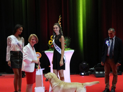 CACIB MÂCON 2018 - DIMANCHE