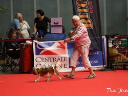 CACIB MÂCON 2018 - DIMANCHE