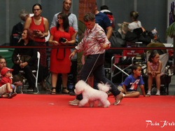 CACIB MÂCON 2018 - DIMANCHE