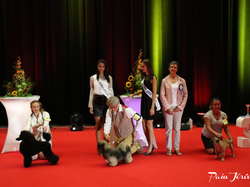 CACIB MÂCON 2018 - DIMANCHE