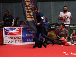 CACIB MÂCON 2018 - DIMANCHE