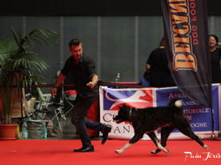 CACIB MÂCON 2018 - DIMANCHE