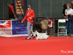 CACIB MÂCON 2018 - DIMANCHE