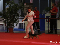 CACIB MÂCON 2018 - DIMANCHE