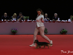 CACIB MÂCON 2018 - DIMANCHE