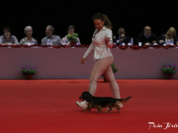 CACIB MÂCON 2018 - DIMANCHE