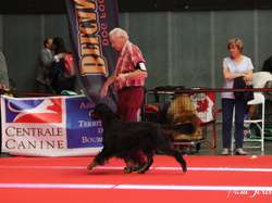 CACIB MÂCON 2018 - DIMANCHE