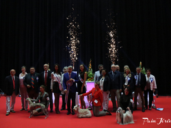 CACIB MÂCON 2018 - DIMANCHE