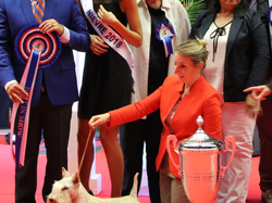 CACIB MÂCON 2018 - DIMANCHE